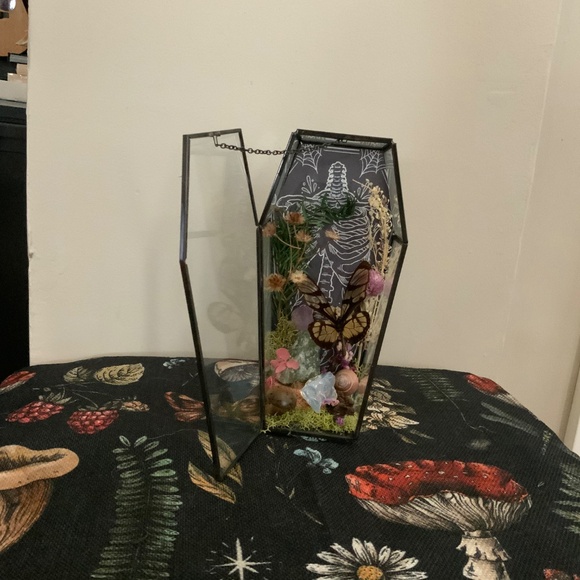 Glass coffin butterfly crystal nature display oddity - Picture 2 of 2